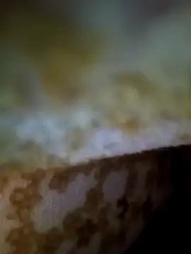 alone boy802 online show from November 9, 1:15 am