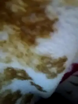 alone boy802 online show from November 9, 4:49 pm