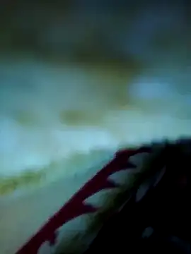 alone boy802 online show from November 13, 3:38 am