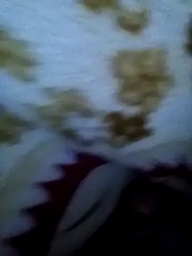 alone boy802 online show from November 22, 3:49 am