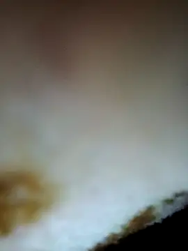 alone boy802 online show from November 24, 9:03 pm