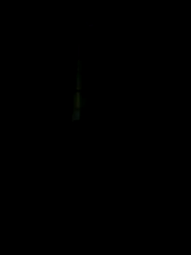 DrackoRexKing64 online show from September 22, 1:18 am