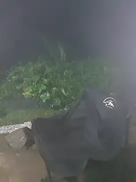 Helen-Tran online show from October 19, 1:56 pm