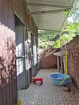 Helen-Tran online show from November 26, 1:17 am