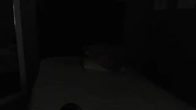 Vic Taylor online show from November 7, 12:43 am