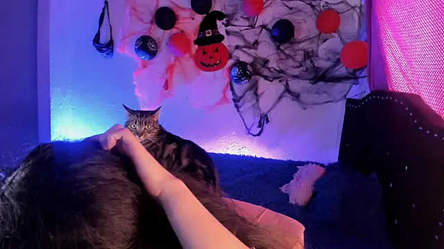 Snapshot of kitty__chs chatting on November 1, 5:26 pm kitty chs online show from November 1, 5:26 pm