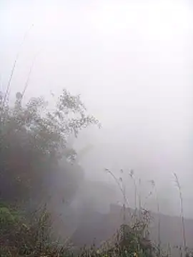 Mai lovely online show from March 9, 4:05 am