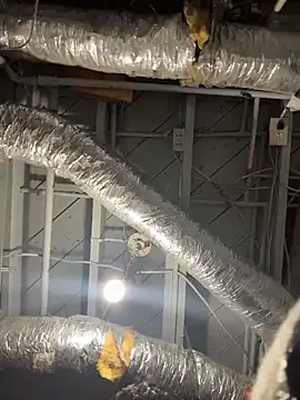 wwolfxxx online show from April 10, 9:03 am