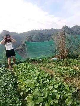 Meomeo-meo online show from November 21, 8:35 am