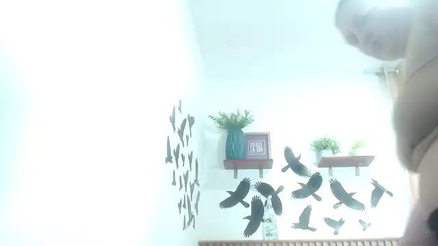 SweetRouse   online show from November 19, 1:44 pm