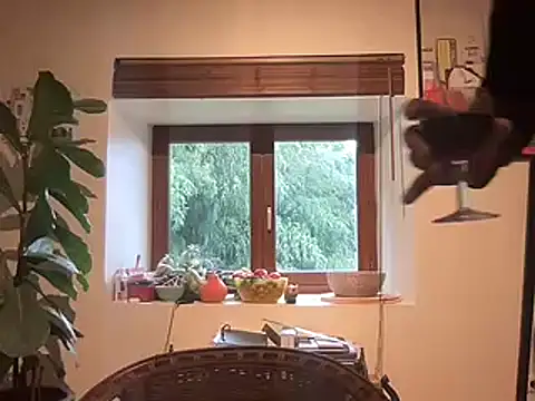 Snapshot of chtentation chatting on February 14, 2:03 pm chtentation online show from February 14, 2:03 pm