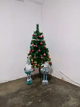 Snapshot of fabulousgirl chatting on December 16, 3:55 am fabulousgirl online show from December 16, 3:55 am