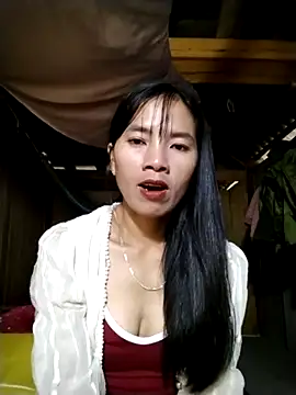 Snapshot of lmc-zz chatting on November 1, 1:29 am lmc-zz online show from November 1, 1:29 am