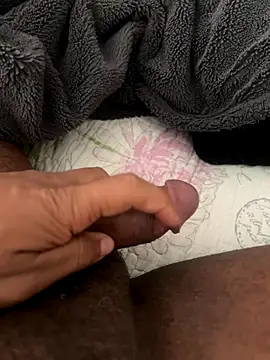 La piada online show from December 2, 11:48 am