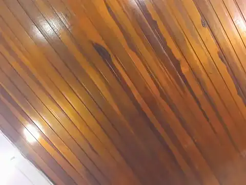 AliceCat 01 online show from November 14, 4:33 am