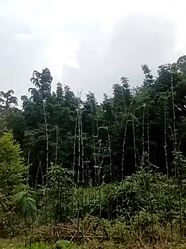 Khanhu xx online show from March 24, 1:32 am