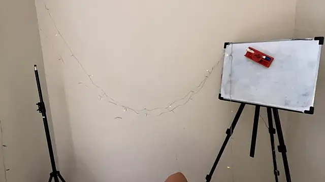 CarollFalick online show from November 25, 5:29 am