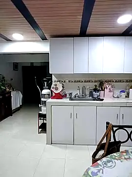 Snapshot of Alaya-15 chatting on November 30, 1:53 am Alaya-15 online show from November 30, 1:53 am