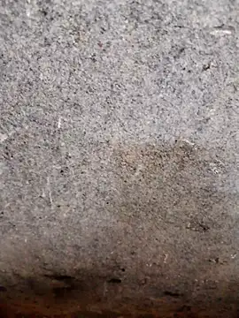 nagepalli online show from November 14, 3:49 am