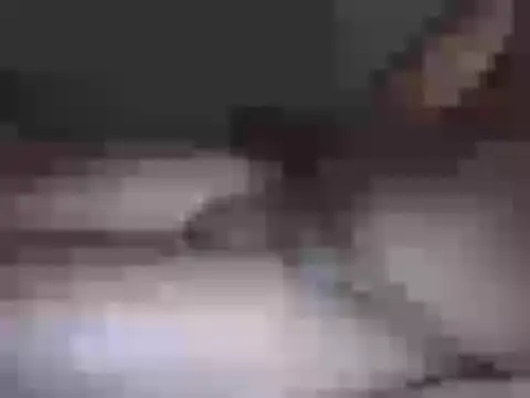 Hhhggghrrr3219 online show from March 17, 7:17 pm