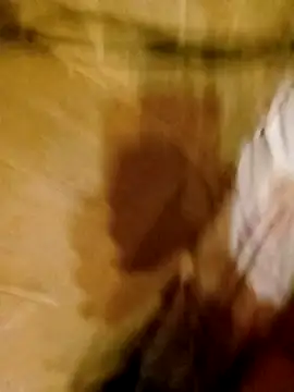 Apeesynka55211 online show from March 11, 8:59 pm