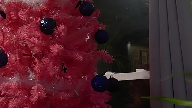 Snapshot of Vox_Personas chatting on December 18, 6:41 am Vox Personas online show from December 18, 6:41 am