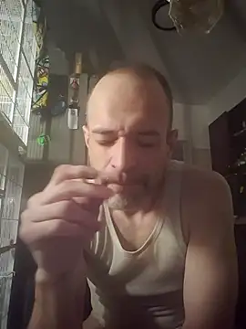 Snapshot of Curious9884 chatting on November 30, 5:28 pm Curious9884 online show from November 30, 5:28 pm