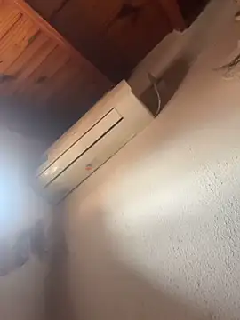 lcyatussbe online show from October 29, 2:19 pm