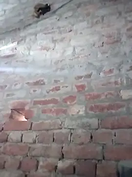 Rani 089 online show from October 6, 1:58 am