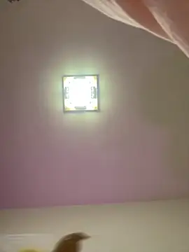 Snapshot of taotaobo chatting on December 15, 2:21 pm taotaobo online show from December 15, 2:21 pm