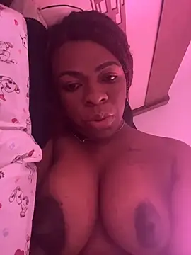 Priihmedeiros online show from March 16, 3:05 pm