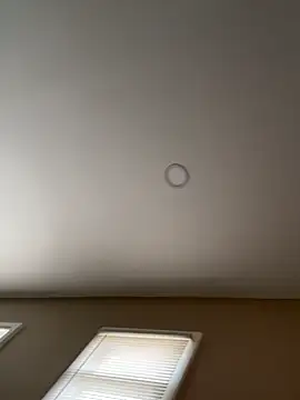 murphdolla online show from November 29, 2:42 pm