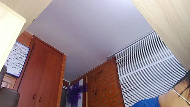 Snapshot of Salome-sw chatting on December 14, 10:36 pm Salome-sw online show from December 14, 10:36 pm