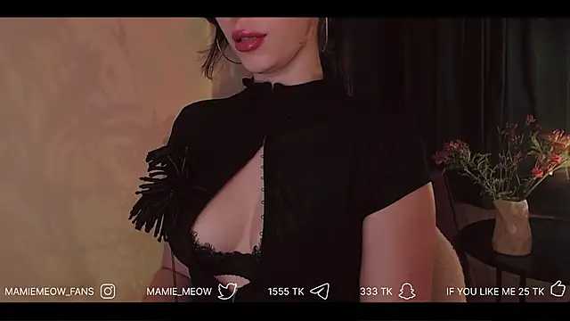 Snapshot of Mamiemeow chatting on April 2, 3:31 pm Mamiemeow online show from April 2, 3:31 pm