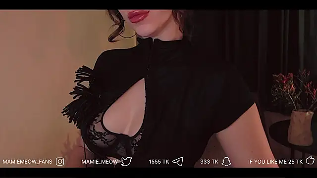 Snapshot of Mamiemeow chatting on April 3, 1:53 pm Mamiemeow online show from April 3, 1:53 pm