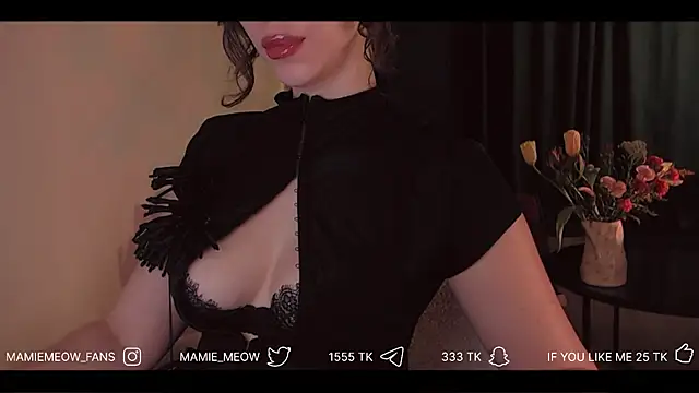 Snapshot of Mamiemeow chatting on April 6, 6:14 am Mamiemeow online show from April 6, 6:14 am