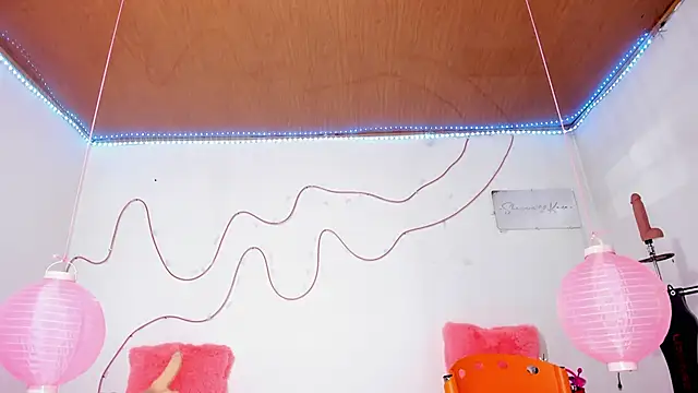 shannon kinne  online show from November 12, 12:49 pm