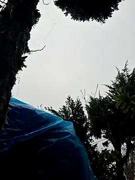 miomio-12 online show from November 2, 1:35 pm