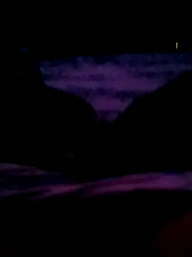 Snapshot of veintitres23 chatting on November 11, 7:52 am veintitres23 online show from November 11, 7:52 am