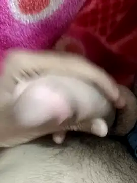 pn12345 online show from November 9, 5:44 pm