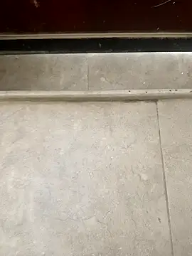 pn12345 online show from December 1, 5:12 am