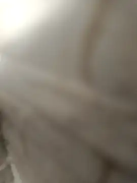 pn12345 online show from December 4, 4:11 am