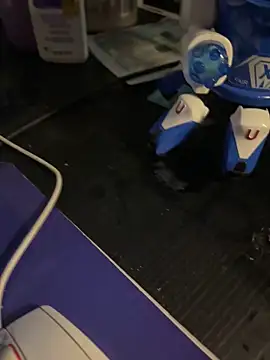 Snapshot of ErosDominant chatting on November 21, 2:43 am ErosDominant online show from November 21, 2:43 am