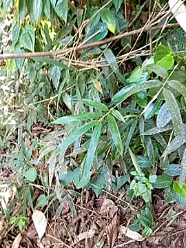 Snapshot of jerry-xx chatting on October 29, 12:57 am jerry-xx online show from October 29, 12:57 am