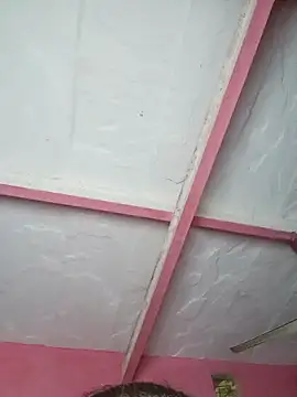 Ut kanchna online show from November 15, 2:35 pm