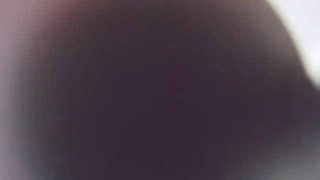 Snapshot of Stefano_Calle chatting on December 3, 11:41 am Stefano Calle online show from December 3, 11:41 am