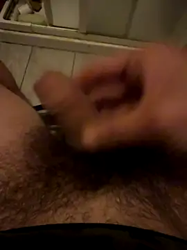 Theanimals online show from November 5, 11:49 pm