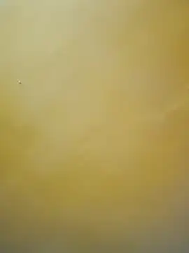 tamil-mala23 online show from October 18, 11:44 am