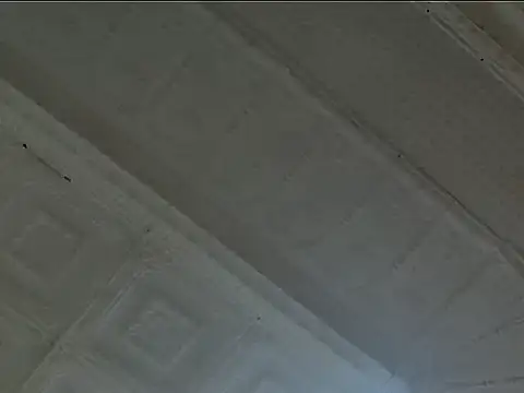 EsotericPaloma online show from October 24, 7:10 pm