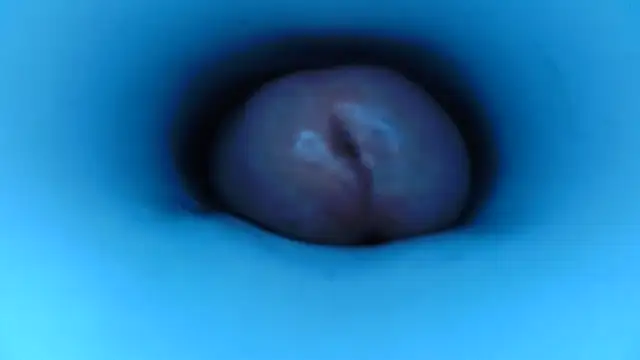 pedrolatino20cm online show from December 15, 2:21 pm